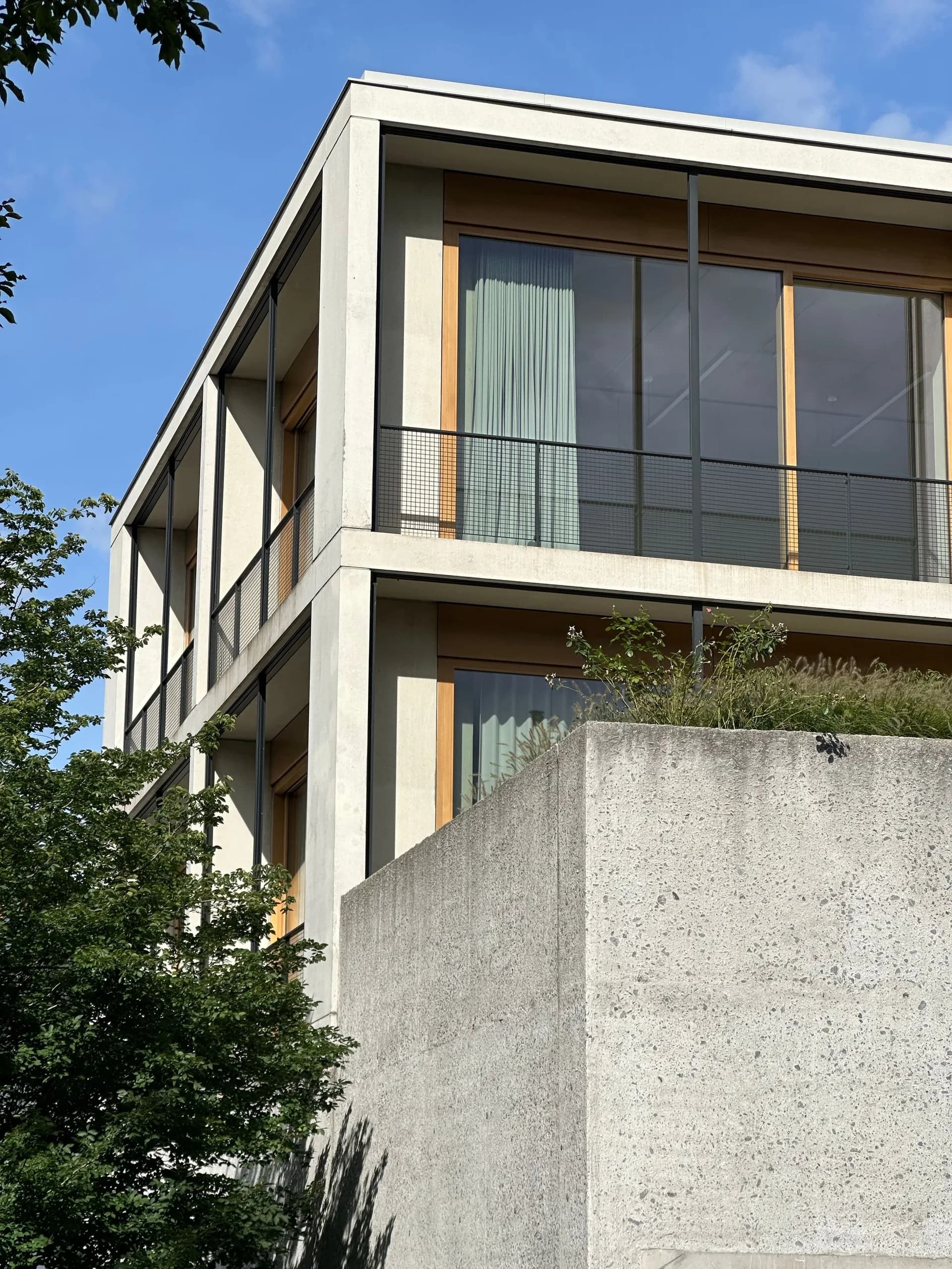 Real contemporary architecture with exposed concrete, glass, and wood details